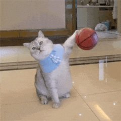 《逍遥情缘》兔兔爆料 | 全新阵法首曝！龙马坐骑限时返场