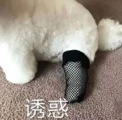 被逼做丝袜模拟器