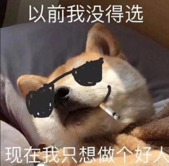 性感妹子也救不了！